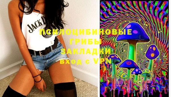 винт Аркадак