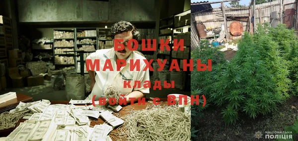 гашик Арсеньев